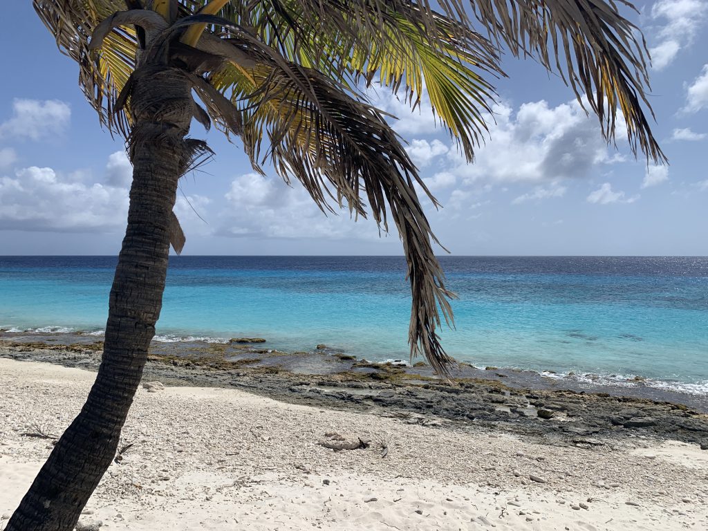 ABC Islands Cruise – May 2024