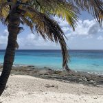 ABC Islands Cruise - May 2024