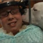 Moreauville to ban Pits and Rots