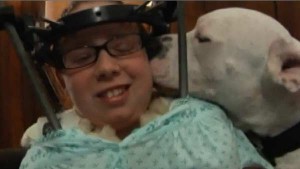 Moreauville to ban Pits and Rots